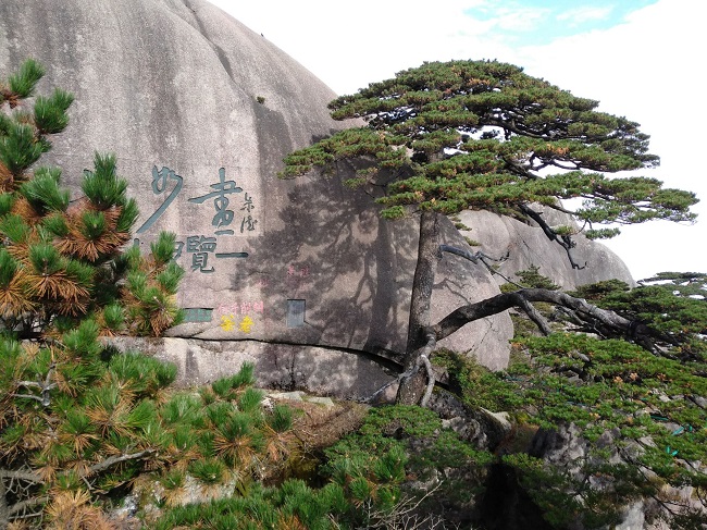 日登黃山，夜醉溫泉！